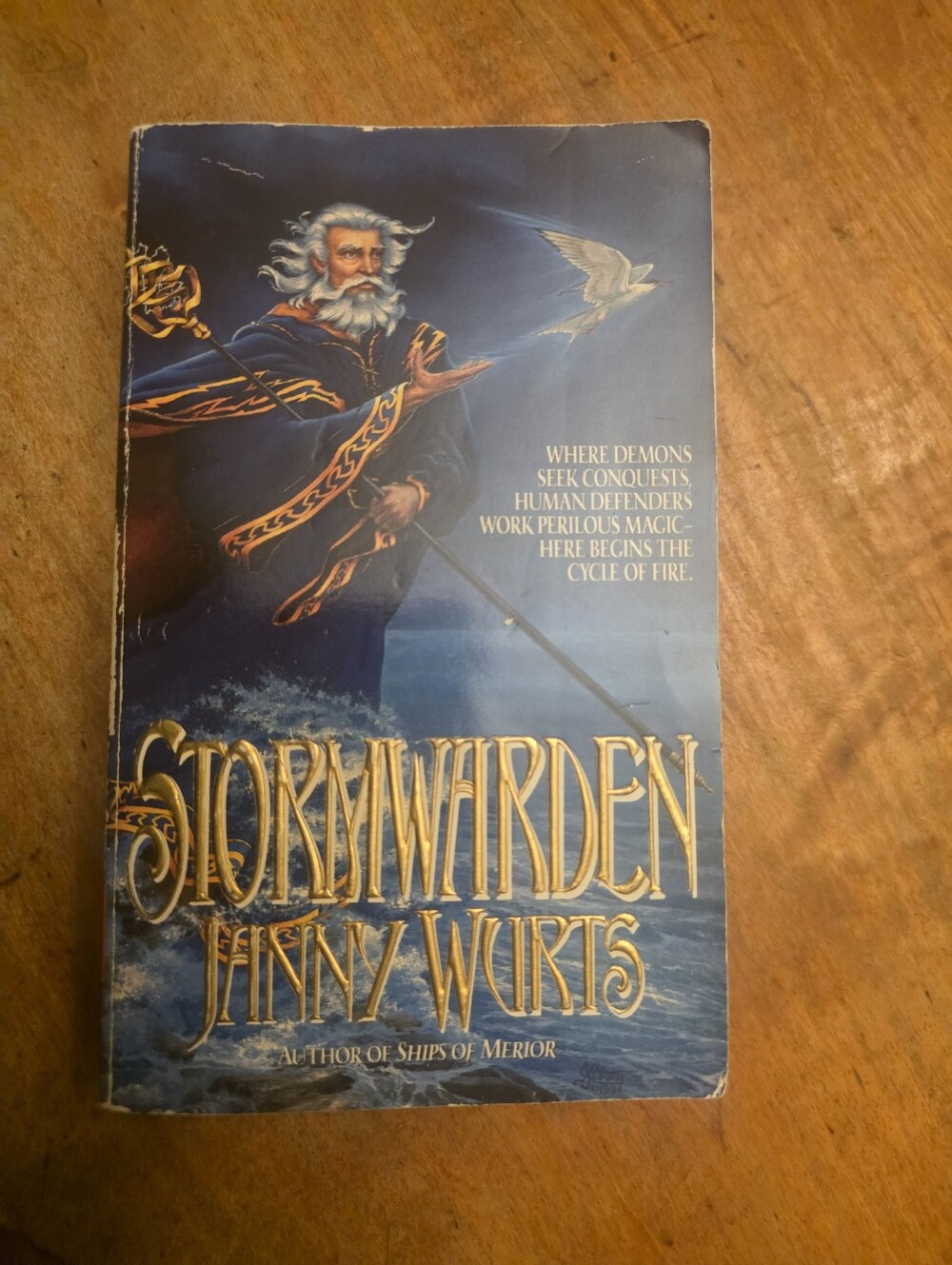 Stormwarden by Janny Wurts Book Paperback 1996